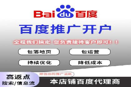 案例研究：百度推广托管助力电商品牌快速崛起